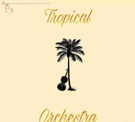 Out Of Your Shell Sounds Tropical Orchestra WAV MiDi